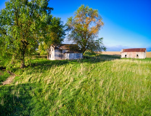 Fotos de stock gratuitas de abandonado, al aire libre, arboles