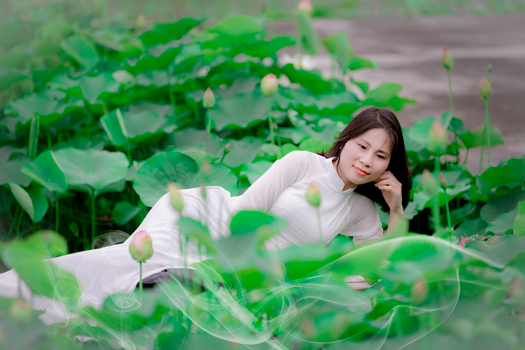 Beautiful Asian woman in white dress reclining among lush green lotus leaves outdoors.