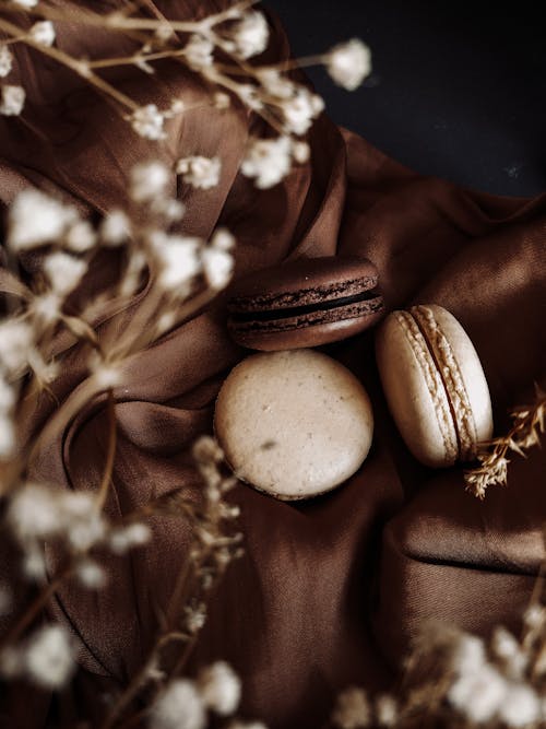 Chocolate French Macarons