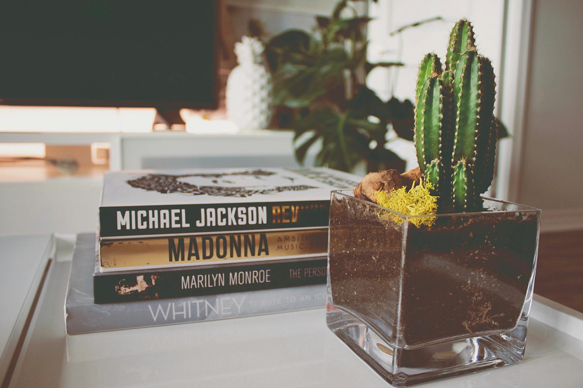 Stylish home decor with cactus plant and books on a sunny coffee table.