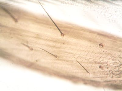 Drexel Develops MXene Supercapacitors Combining Ultra-Fast Charging With High Energy Density