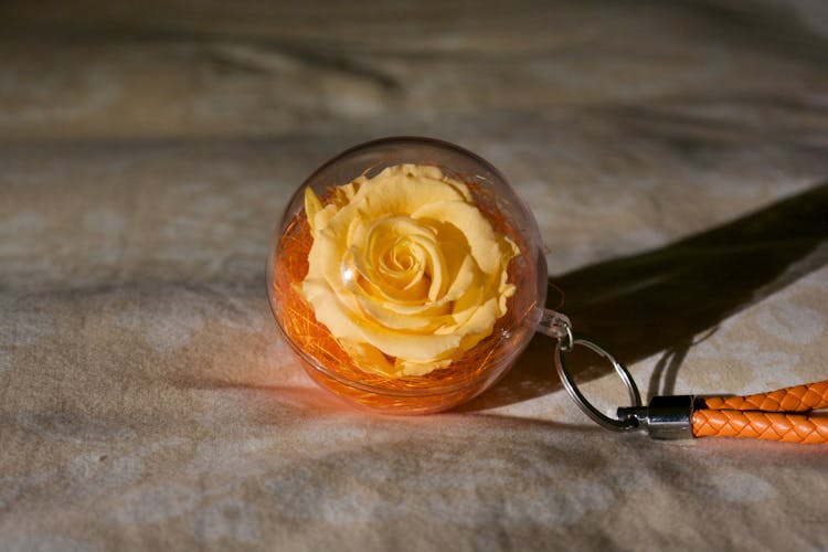 Yellow Rose In A Clear Plastic Ball