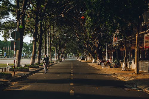 Free People Riding Bicycles on the Road Between Green Trees Stock Photo