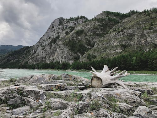 Základová fotografie zdarma na téma břehy řeky, hora, kameny