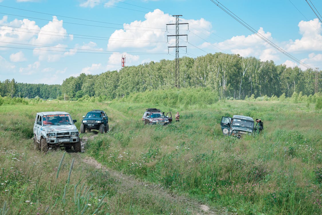 Бесплатное стоковое фото с 4x4, автомобили, автоспорт