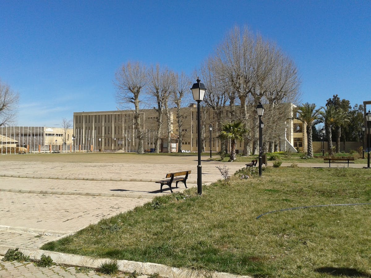 Hands arranging vegetables and ingredients on a wooden board
