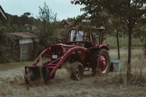 A Red Tractor on a Grassy Field