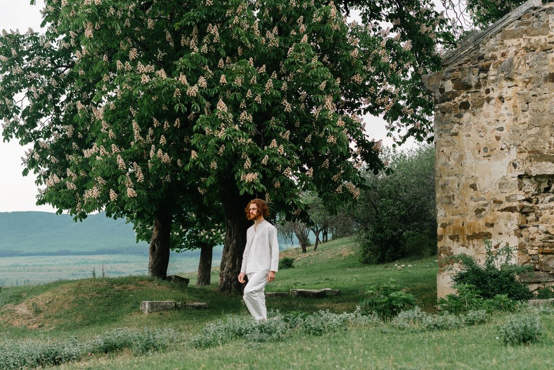 A Man in White Clothes Walking on Green Grass Near a Tree · Free Stock ...