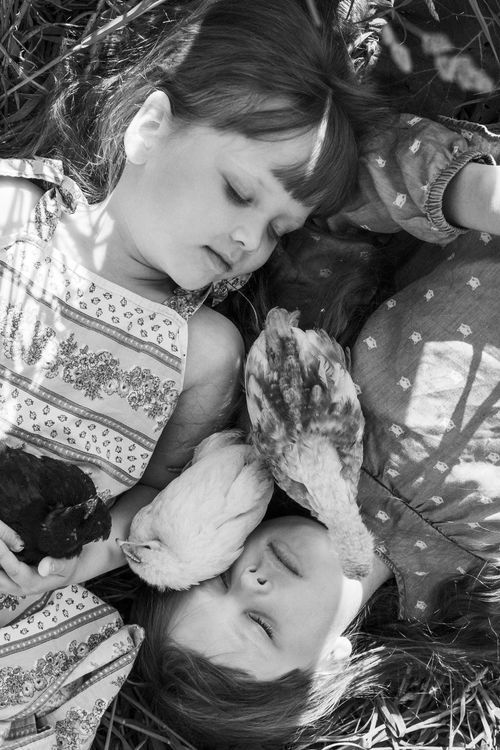 Free Children resting in grass with chickens, captured in black and white. Stock Photo