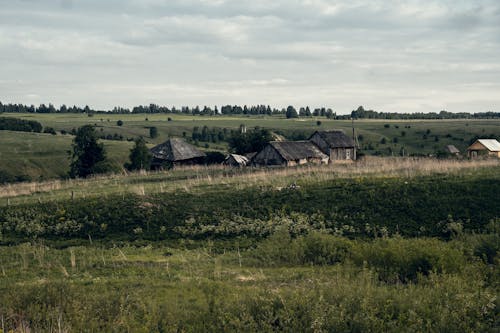 Foto stok gratis agrikultura, Arsitektur, cottage