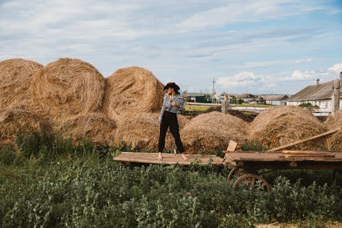 Ücretsiz alan, ayakta, hasat içeren Ücretsiz stok fotoğraf Stok Fotoğraflar