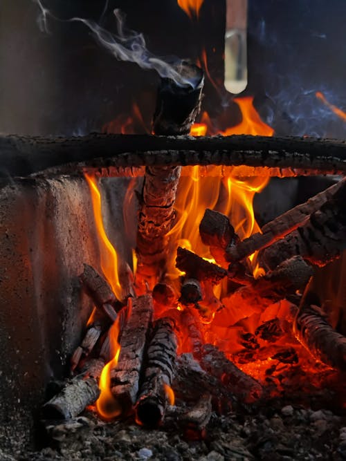 Burning Firewood in Fire Pit