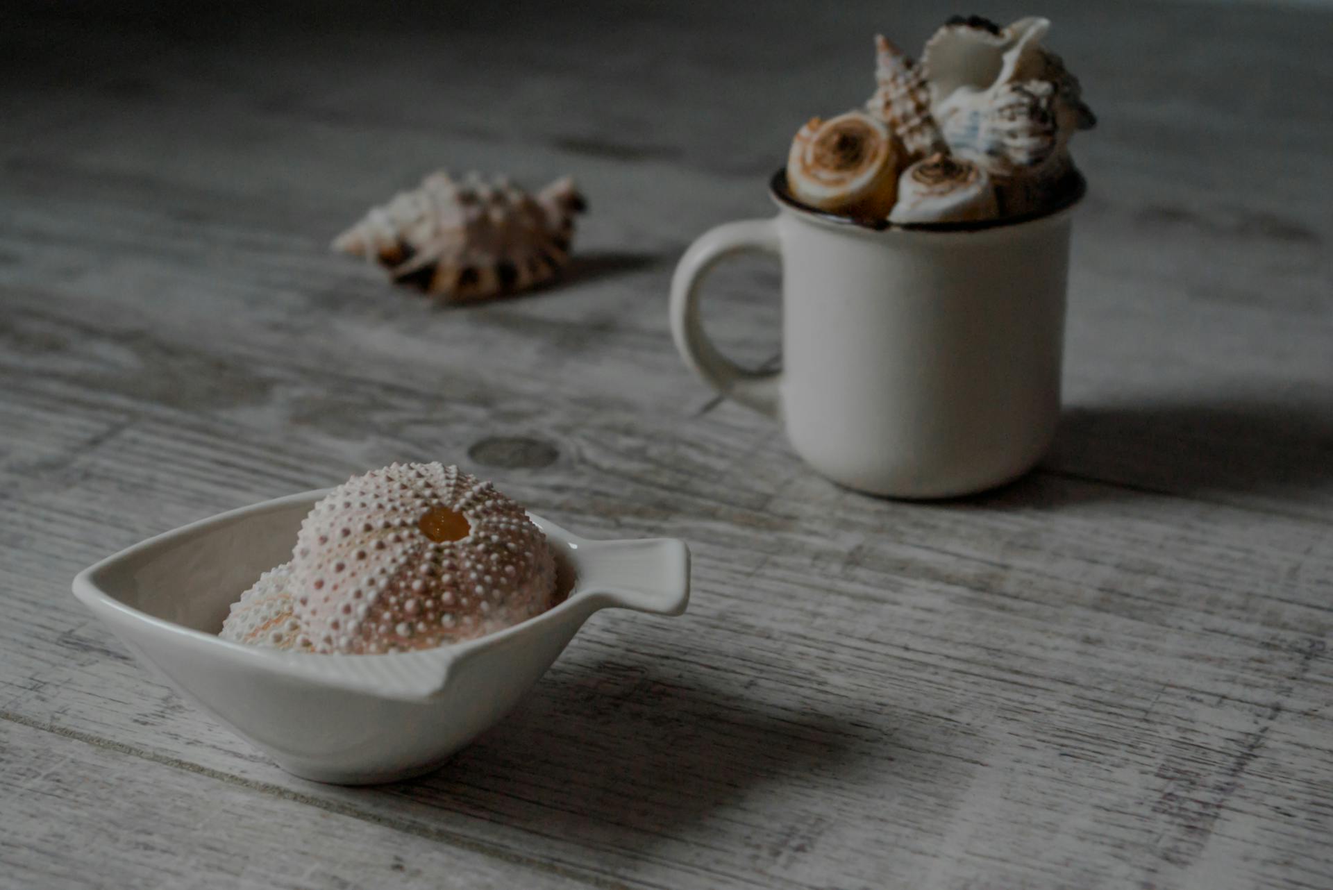 Artistic arrangement of seashells in a cup and dish on a wooden surface with moody lighting.