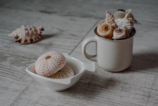 Beautiful arrangement of seashells in a cup and bowl on a rustic wooden surface.