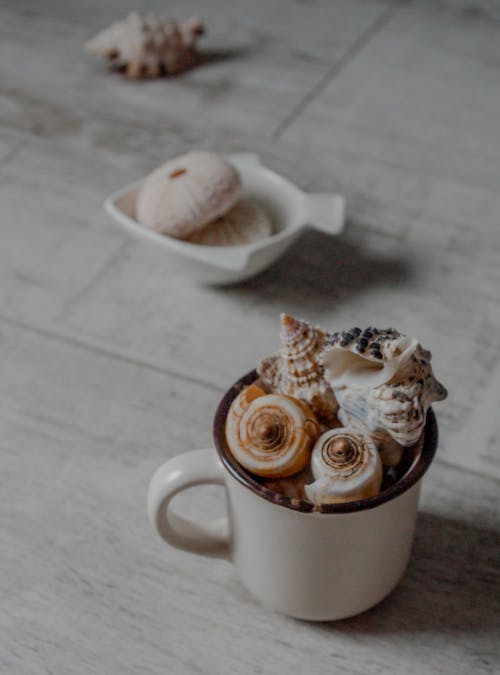 Close-up Shot of a Cup with Seashells