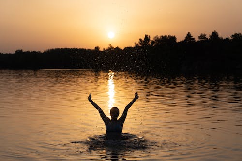 Kostenloses Stock Foto zu abendhimmel, bäume, freiheit