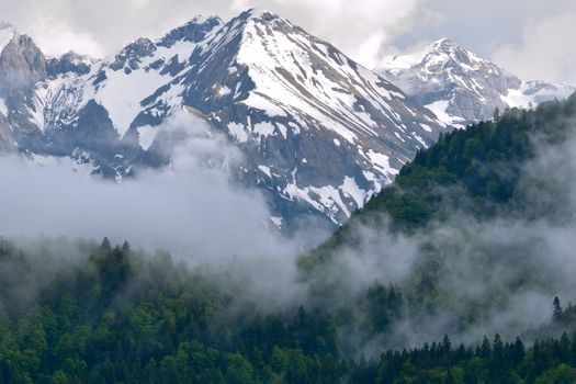 壮观的雪山景色，四周环绕着雾气弥漫的茂密森林。 - 相关推荐