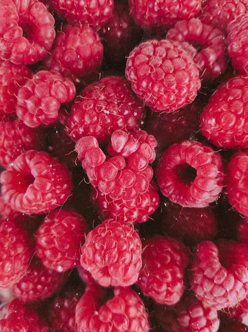 Plenty of Raspberries 