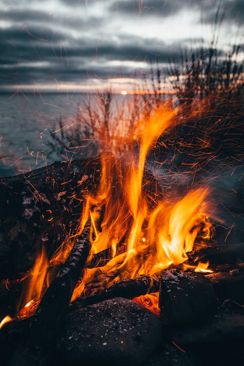 Fotobanka s bezplatnými fotkami na tému drevo na oheň, dym, horenie
