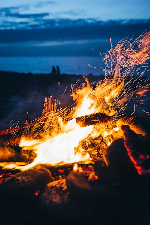 Close-up Photo of Burning Wood