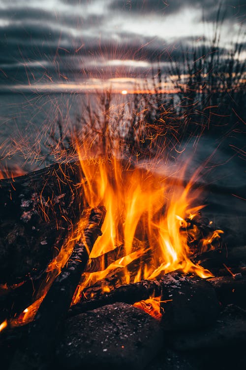 Gratis stockfoto met avondlucht, bonfire, brand Stockfoto
