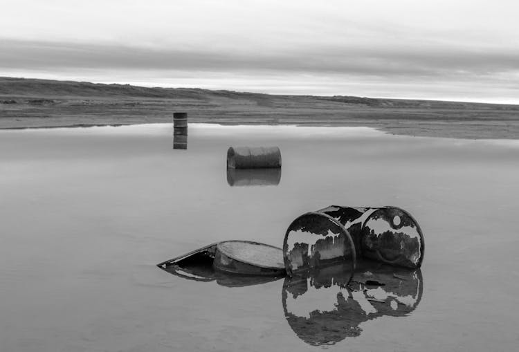 Old Decomposing Barrels On A Seashore 