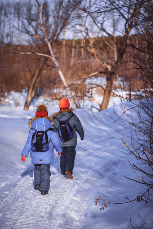 Ilmainen kuvapankkikuva tunnisteilla flunssa, huurteinen, jää