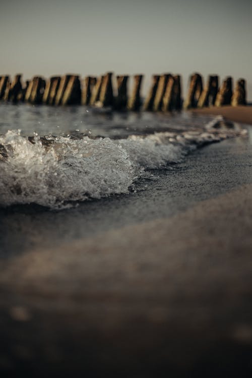 Fotos de stock gratuitas de agua, al aire libre, arena