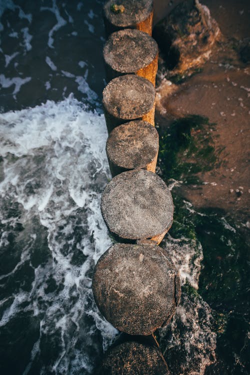 Free Waves Breaking on a Wooden Barrier on the Shore  Stock Photo