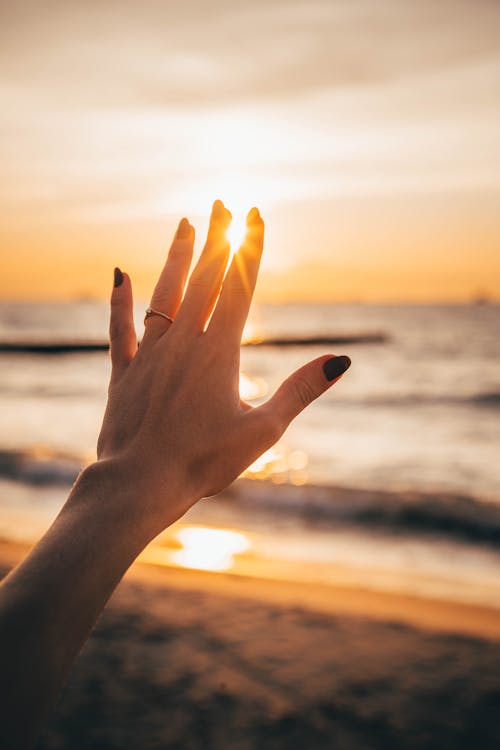 Free Sunbeam Throught Person's Fingers Stock Photo
