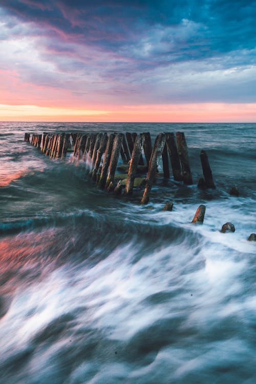 Fotobanka s bezplatnými fotkami na tému dosvit, drevená guľatina, horizont