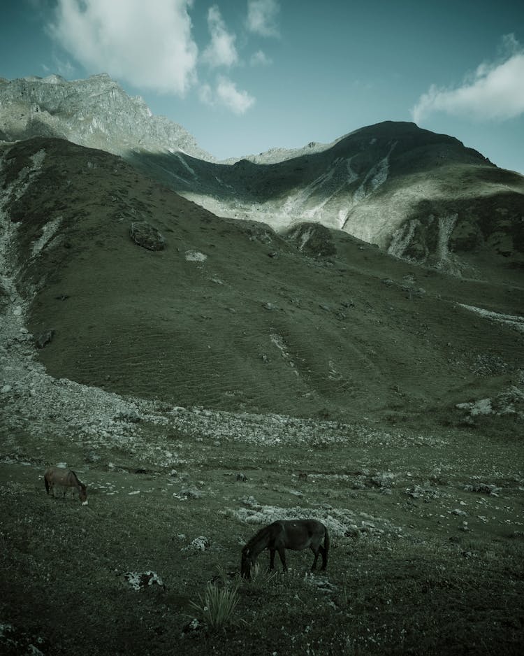 Horse Grazing Near Mountain Slope