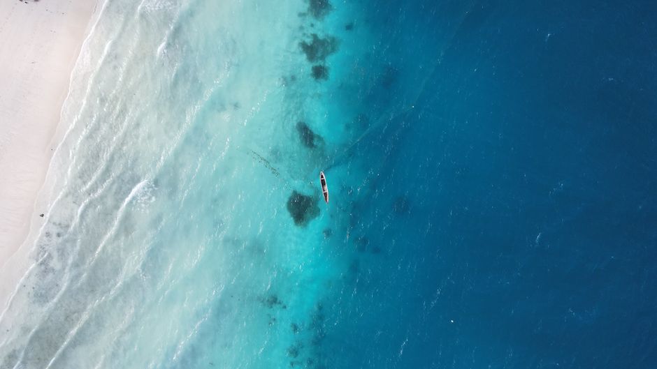 Trouver un travail a Zanzibar en 2026 : tourisme, digital nomad et entrepreneuriat