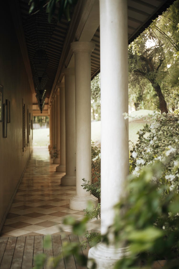 Colonnade With Tiled Floor And Bushes 