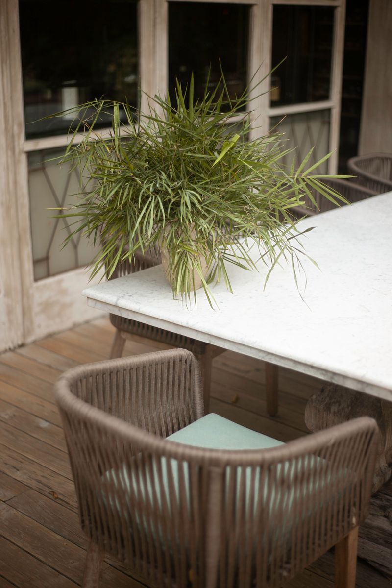 Stylish patio setting with plant and wicker furniture on tiles