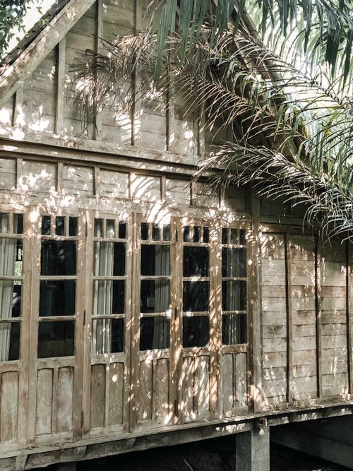 Free Charming rustic house with wooden panels and palm shadows in a tropical setting. Stock Photo