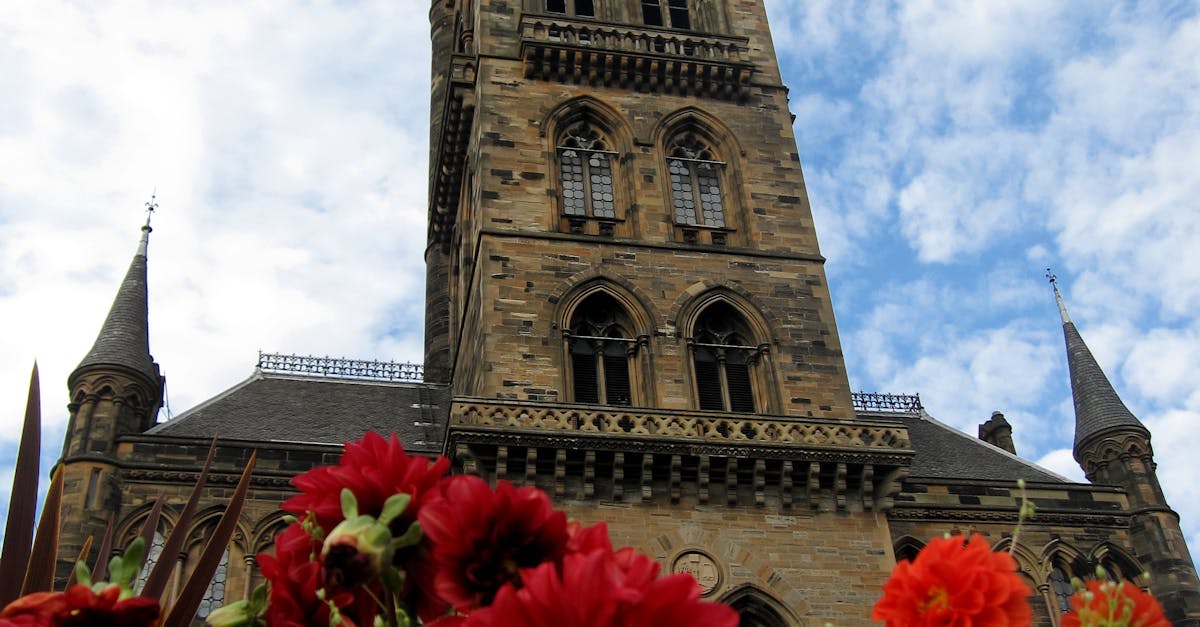 Free stock photo of flowers, scotland, tower