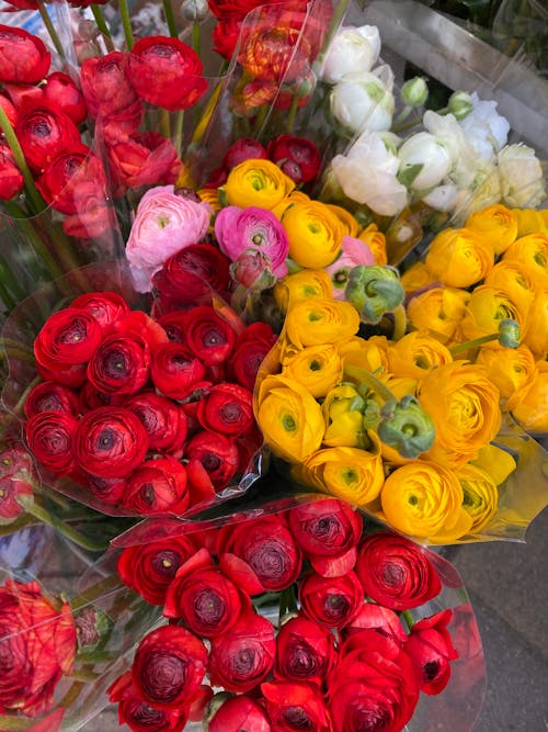 Free Assorted Cluster of Flowers in the Market Stock Photo