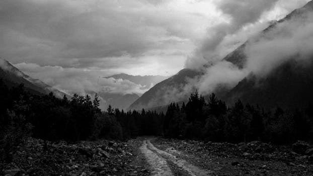 Black and white photo of a foggy mountain landscape with a forest road.