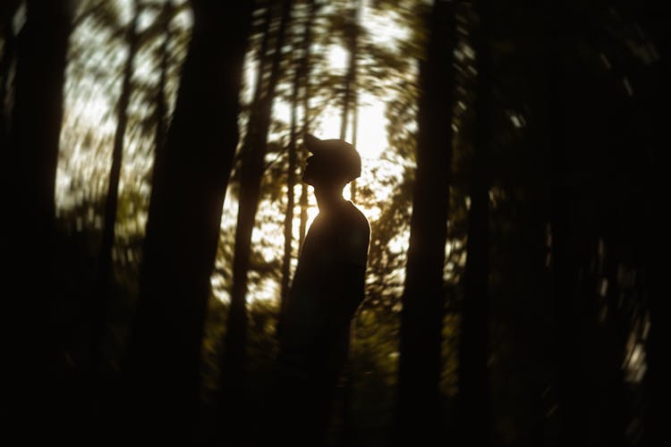 A Silhouette Of A Man In A Forest