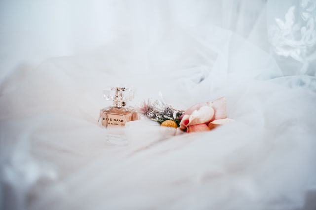Photo by Jay jay Redelinghuys on Pexels Photo by Jay jay Redelinghuys on Pexels