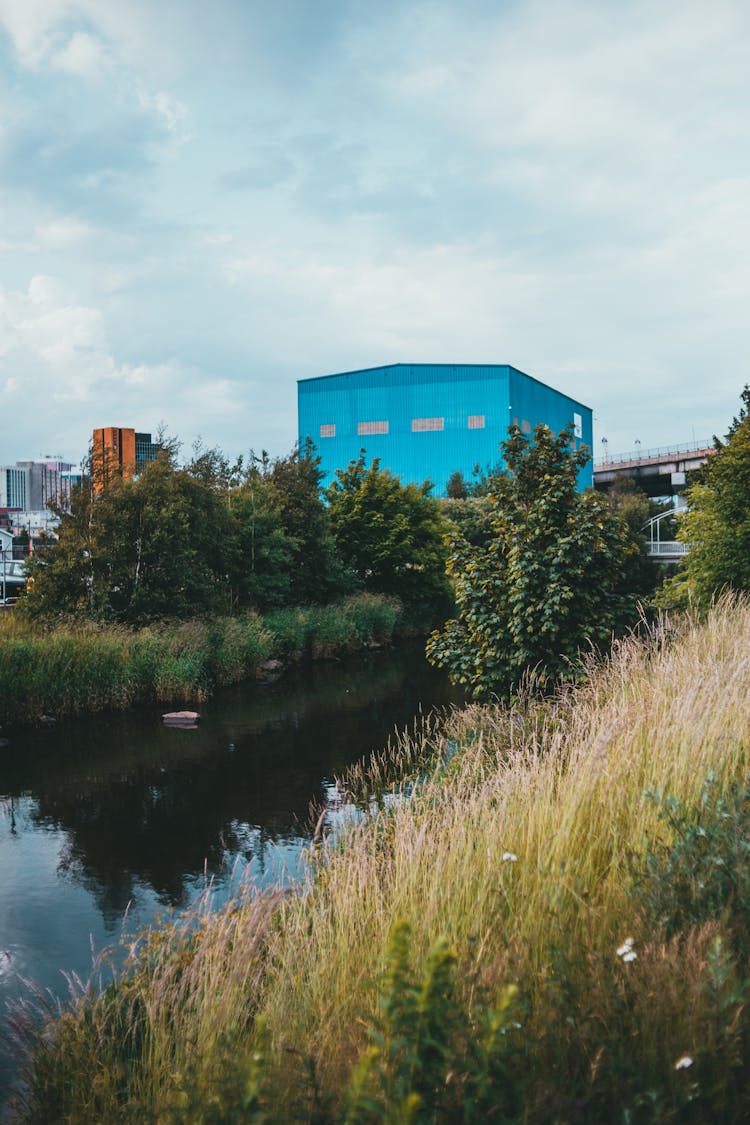 Rushes Around River In Town