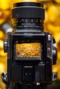 Close-up Photography of Black Camera