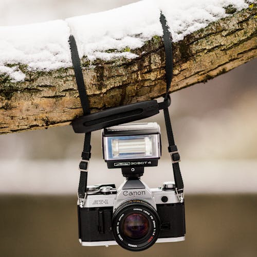 Black and Gray Canon Dslr Camera Hanging on Brown Tree Trunk With Snow