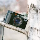 一棵树上放着一台老式佳能相机，突出了户外复古摄影设备