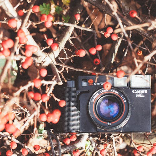 Imagine de stoc gratuită din analog, aparat de fotografiat, aparat foto compact