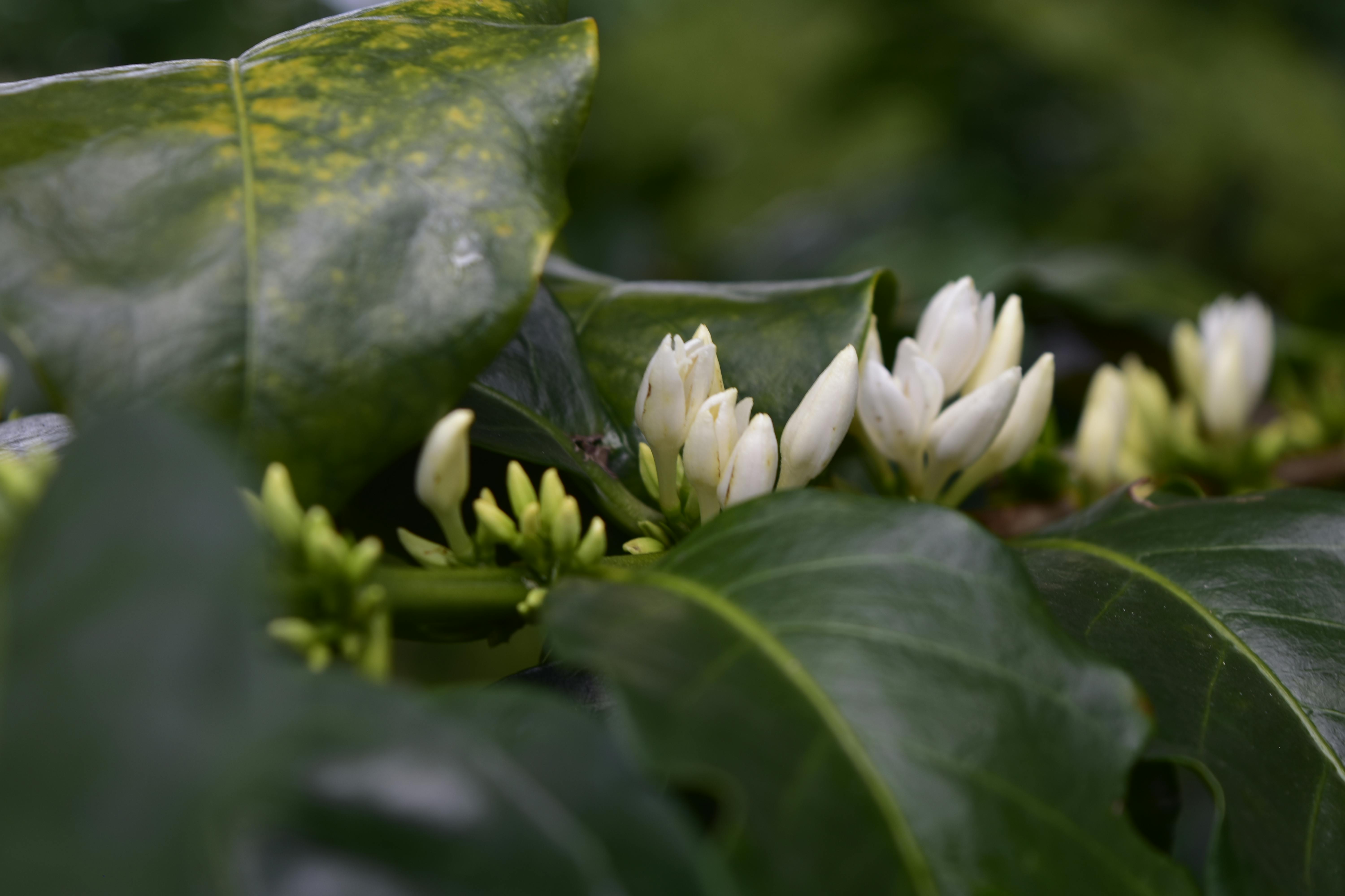 Close-up of a person holding a book