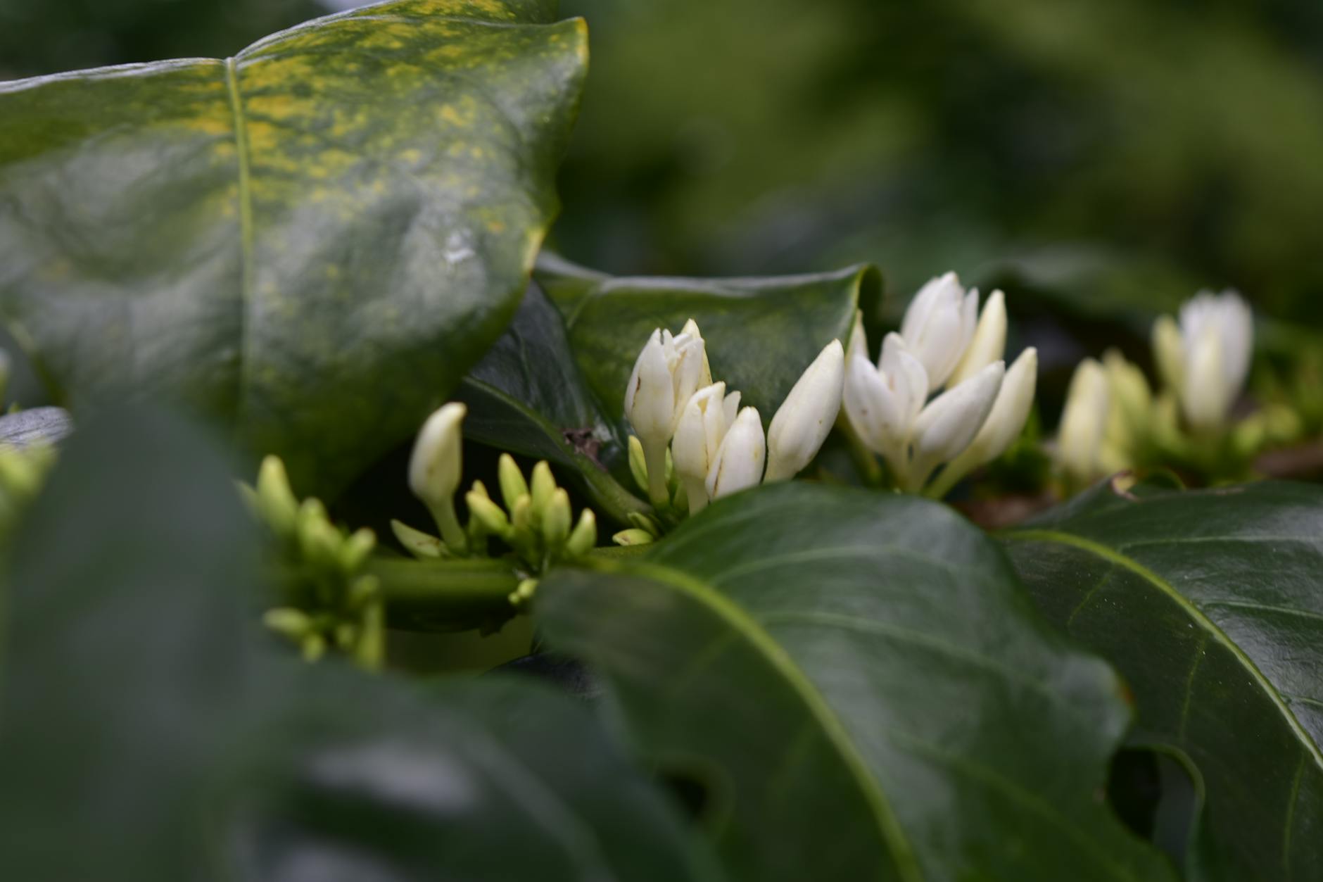 Close-up of a person holding a book