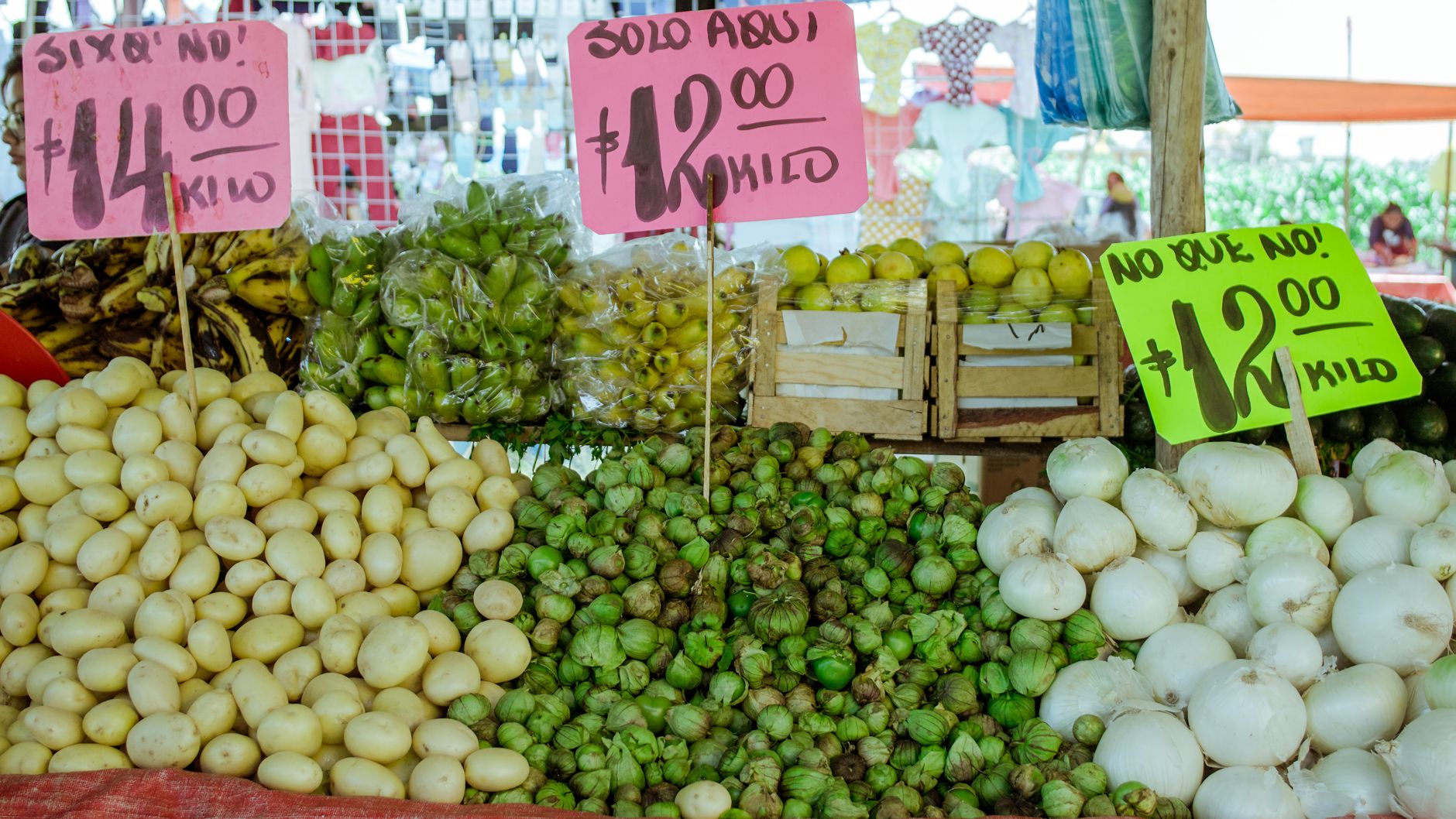Potatoes showing signs of spoilage with sprouts and dark spots on the skin