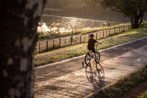 Free A Boy Riding Bicycle on a Road Stock Photo